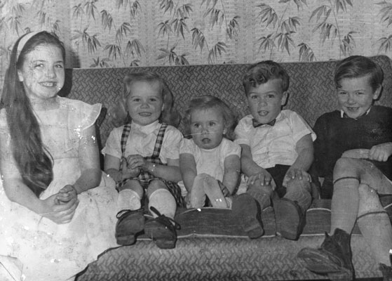 Five of the mini Murray's
